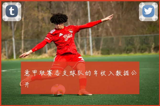 意甲联赛各支球队的年收入数据公开
