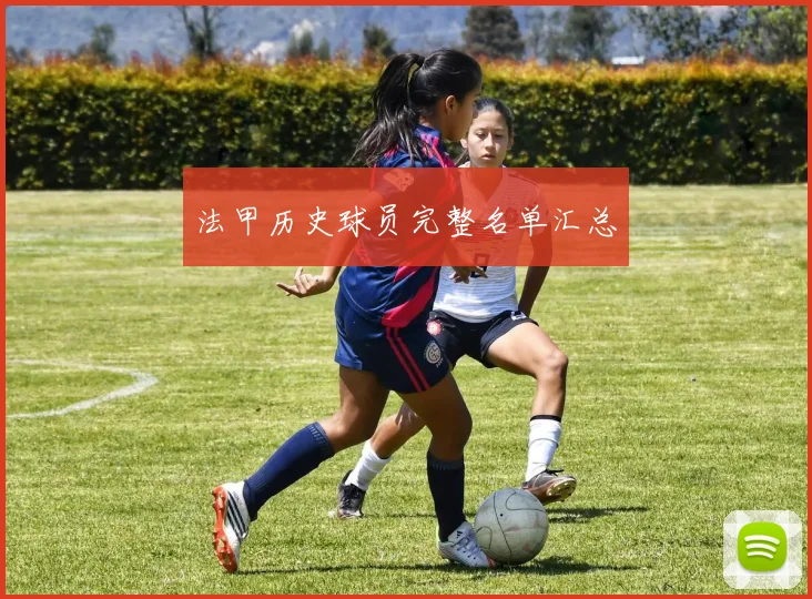 法甲历史球员完整名单汇总