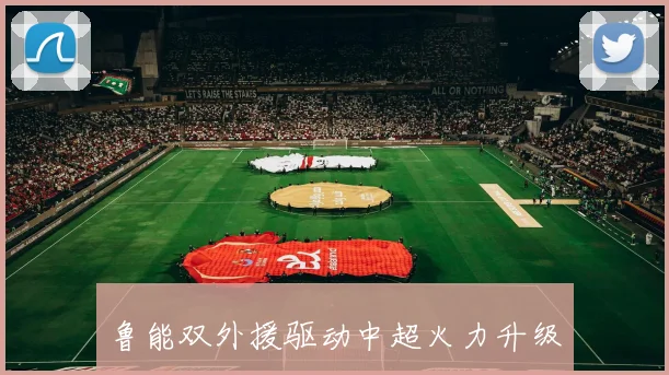 鲁能双外援驱动中超火力升级