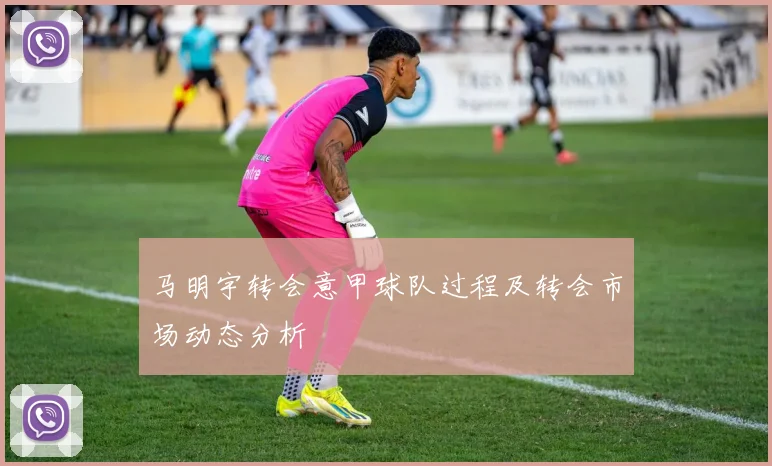 马明宇转会意甲球队过程及转会市场动态分析