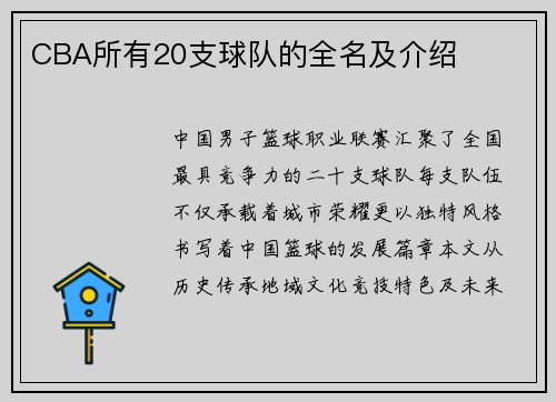 CBA所有20支球队的全名及介绍